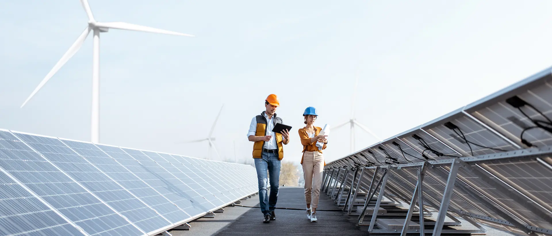 two people walking through a field of solar panels
