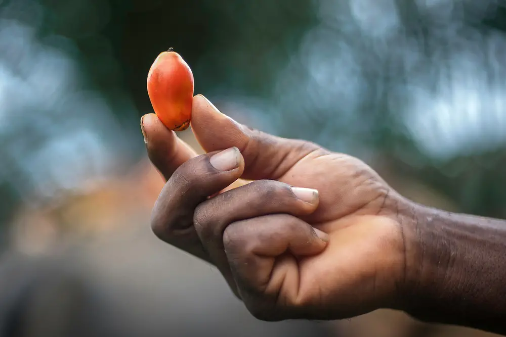 une main tenant un fruit