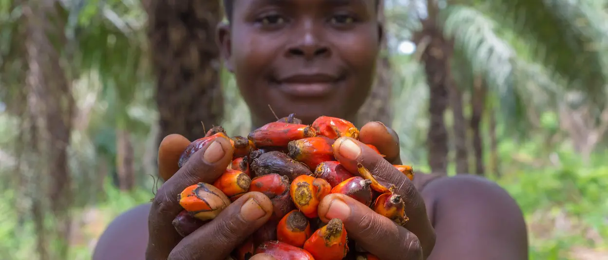 Promoting sustainable palm oil: A woman is holding palm fruits in her hands