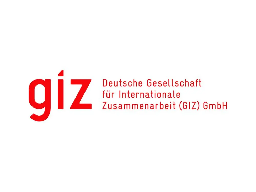 -logo-giz-