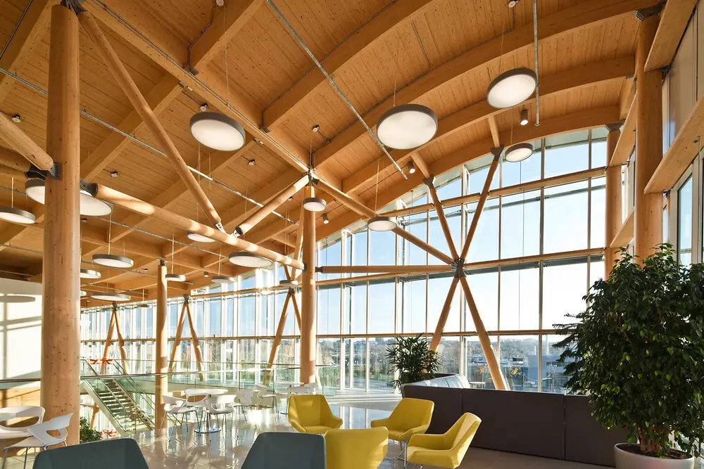 The interior of a modern building with a curved, wooden ceiling and glass walls. On the floor there are several armchairs of different colors.