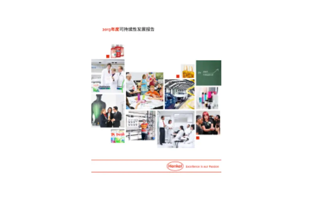 2013-Sustainability-Report-zh-CN.pdfPreviewImage