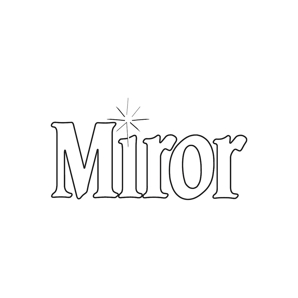 Miror- Metal Cleaning Products - Henkel