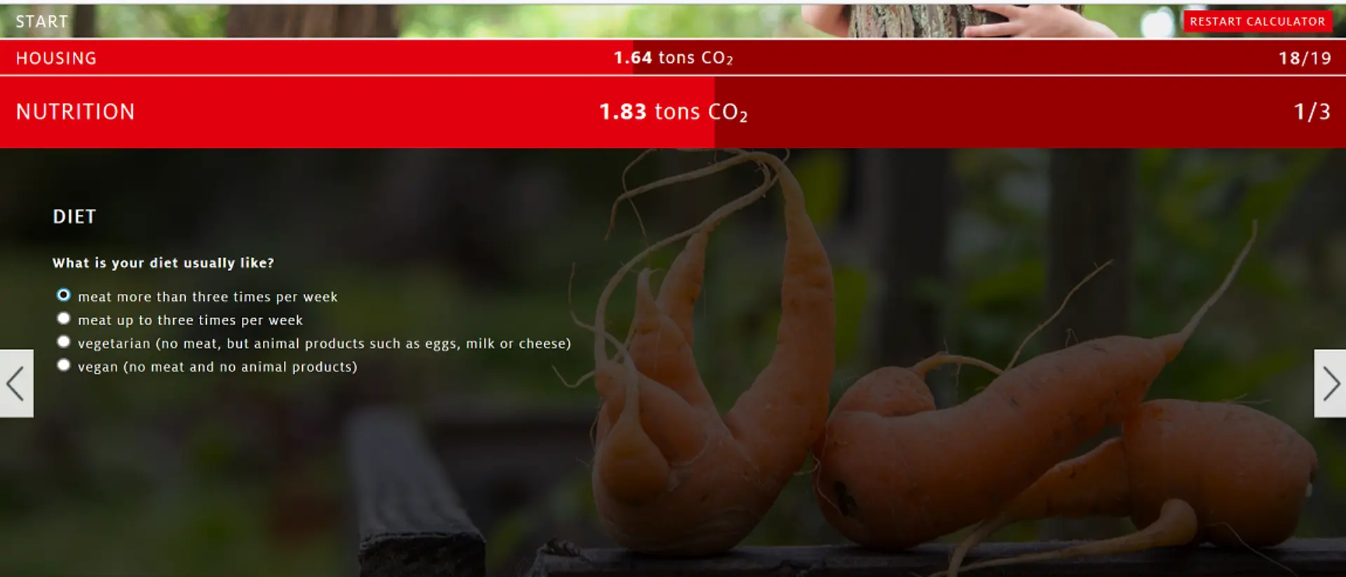 Estimation of the annual CO2 consumption in nutrition